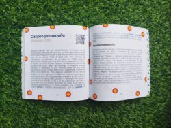 Siglos en Clave: Breve historia de la música afrocaribeña a partir del siglo XVII hasta la actualidad es una obra de investigación historiográfica y pedagógica escrita por el percusionista, educador y gestor cultural panameño Oscar Cruz.